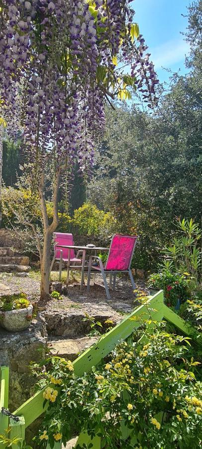 Studio De Charme + Terrasse : Verdon, Lac, Plages Claviers Eksteriør bilde