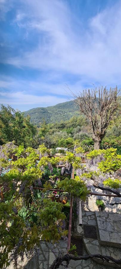 Studio De Charme + Terrasse : Verdon, Lac, Plages Claviers Eksteriør bilde