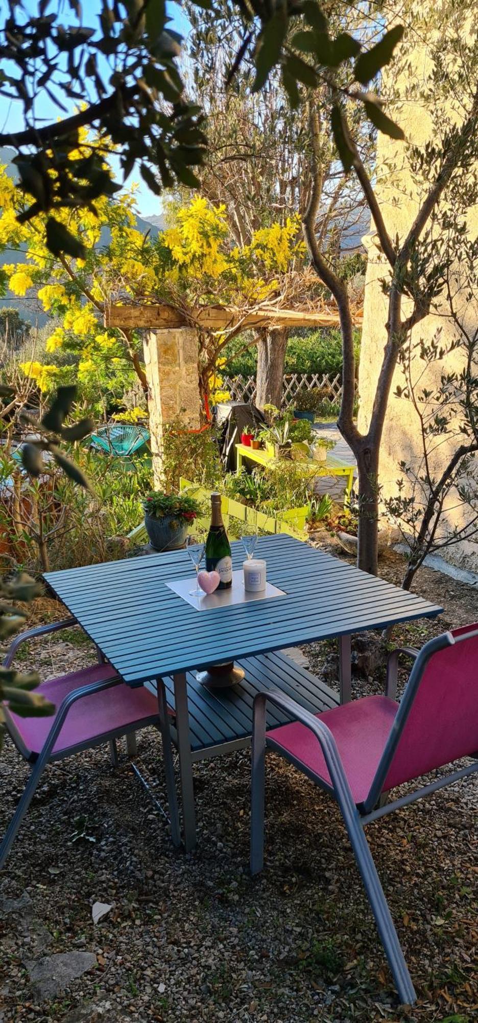 Studio De Charme + Terrasse : Verdon, Lac, Plages Claviers Eksteriør bilde